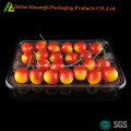 Rectangular plastic fruit packing tray